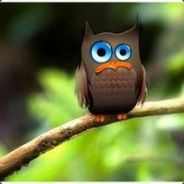 RhoSpechtir - steam id 76561197961409137
