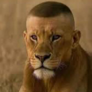 Battletoad - steam id 76561198050251083