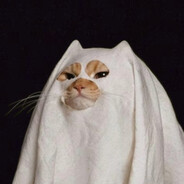 Gato