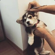 BIG JOW CSGOSKINS SKINS