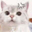 粉木头没头没脑