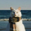 lyewin