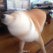 不听不听 王八念经