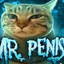 mr penis