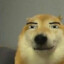 Stequ_