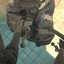 Negev