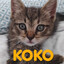 웃♥유☯koko☯웃