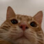 Ginger