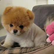 YagToStrive