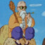 master roshi