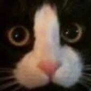 变成光守护香蕉道