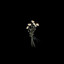 thym_12