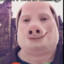 john pork