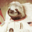 AstroSloth