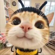 КОТ Steam avatar