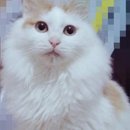 相泽南IPX-177 YYDS