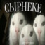 Сосырнеке