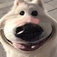 是你的憨批狗梦琴鸭