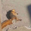 Vink