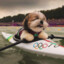 I&#039;m a dog canoeing