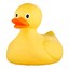 MyRubberDuck