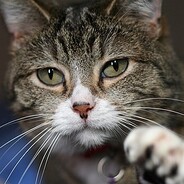 Pia The Pussy