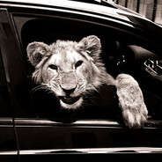 ООО ОБНАЛ - steam id 76561198791362013