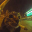 Ъ's avatar