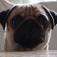 pitchout - steam id 76561197961435825
