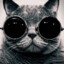 sosadcat