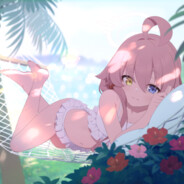 不会玩战雷的星野