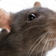 Nikke - steam id 76561197961447741