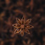 Star Anise