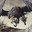 tyranosaure927