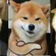 超级无敌旺财cc