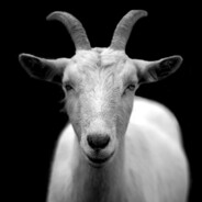 Läääget's Steam avatar