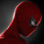Spoder_MAN