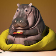 HipPoplotimus!