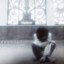 selight