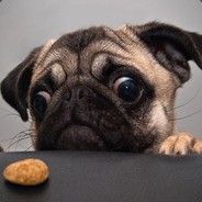 罗密欧与猪过夜