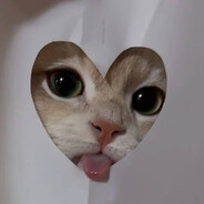 冷吃兔头不头疼