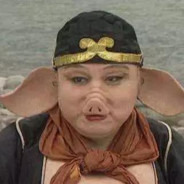 宇宙无敌暴龙大王猪八