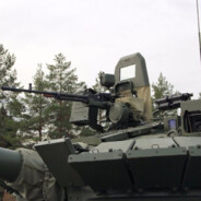 我的鸡它八岁了