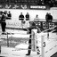 scr1pT |