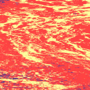 重生之我是诱饵弹