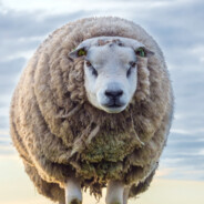 二十四岁忧郁女同日布龙松