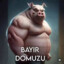 Bayır Domuzu