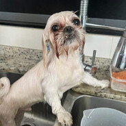 Miguelonch ✈ ▮▮