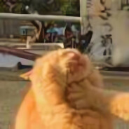 不玩原神导致的