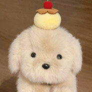 汪汪队大礼包w.w